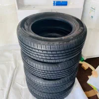 لاستیک کپسن ۲۰۲۵