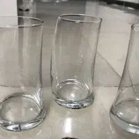 لیوان پنگوئن پاشا باغچه ترکیه