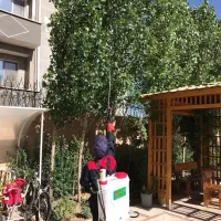 خدمات سمپاشی|خدمات نظافت|پیشوا, |دیوار