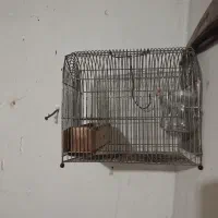2عدد قفس سهره قیمت دونه 750000هزار تومن یک کلام