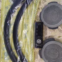 ضبط و باند ال نود