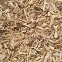 تون ب اک مریمی