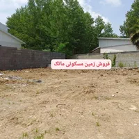 زمین مسکونی300 متری گیلان فومن صومعهسرا تولمشهر