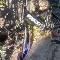 دوچرخه ۱۶ فقط چهارصد|دوچرخه، اسکیت، اسکوتر|دلند, |دیوار