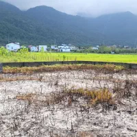 زمین ۲۵۰خارج بافت