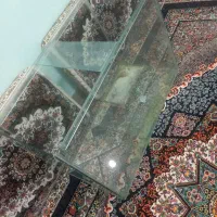 آکواریم شیشه زخیم یک متری|ماهی|قروه, |دیوار