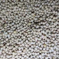 نخود امسال|خوردنی و آشامیدنی|سراجو, |دیوار