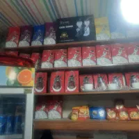 قفسه نوپان