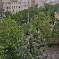 پناهگاه سبز شما ۱۷۴ متر لوکس با ویوی بی‌نظیر درخت