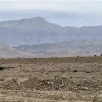 زمین فروشی جوپارستان
