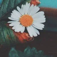 حذف و کاهش خاطرات منفی و آزار دهنده