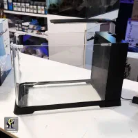 نور آکواریوم دلسا|ماهی|قزوین, |دیوار