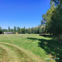 فروش چهار قطعه زمین5300متری در خلخال پشت داد کستری|فروش زمین و ملک کلنگی|خلخال, |دیوار