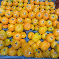 عرض میوه های لوکس مجالس