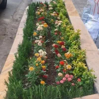 خدمات کل باغبانی|خدمات باغبانی و درختکاری|اسلامشهر, زرافشان|دیوار