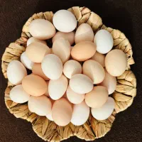 فروش تخم مرغ محلی