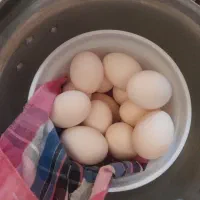 تخم مرغ محلی اصل