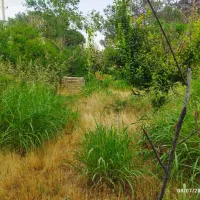 باغ باغچه ۶۵۰ متری نظام آباد خیابان درختی|فروش زمین و ملک کلنگی|اسلام‌شهر, کاشانک|دیوار