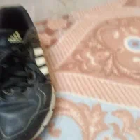 کتونی اکومنت۱۰