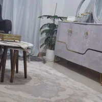 گل پتوس ،سانسوریا،بنسای|گل و گیاه طبیعی|تهران, زهتابی|دیوار