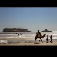 گشت جزیره قشم با راننده بومی|تور و چارتر|قشم, |دیوار