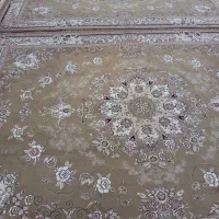 فرش کاشان دوعدد۱۲متری درحداکبندمیباشدقیمت جفتش۱۷