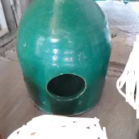 جاآبی کفتر|پرنده|تهران, اتابک|دیوار