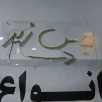 وسایل لباسفروشی|فروشگاه و مغازه|ساوه, |دیوار
