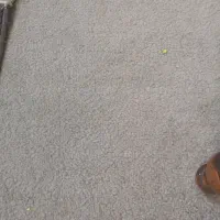 ۶۰متر پالاز موکت