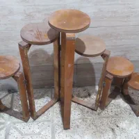 گل مرداب بزرگ وپایه گلدان تاشو