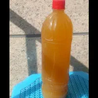 آبغوره تازه.نمک زده شده.خالص وخالص