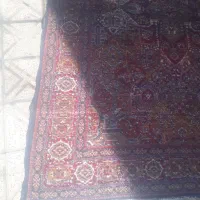 فرش ۶متری|فرش|لنجان, |دیوار