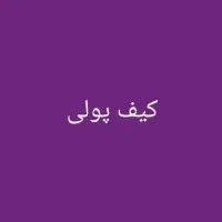 کیف پول دستی