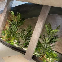 دراسینا /دیزاین فلاورباکس فرودگاه با گیاه وارداتی