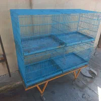 قفس کبوتر