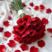 کار پاره وقت در منزل لطفالطفا توضیحات کامل بخون