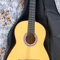 گیتار دیاموند