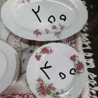 ظروف گل سرخ ژاپن