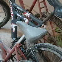 سه عدد دوچرخه