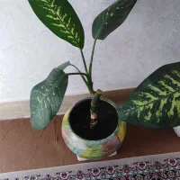 گل با گلدان