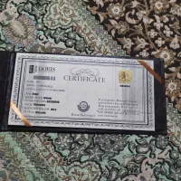 گیتار دست ساز Doris DS+|گیتار، بیس، امپلیفایر|میناب, |دیوار