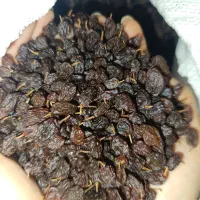 کشمش درجه یک آفتابی|خوردنی و آشامیدنی|بوشهر, |دیوار