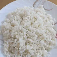 برنج عنبر بو|خوردنی و آشامیدنی|اهواز, فاز ۲ پادادشهر|دیوار