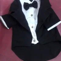 لباس و کفش سگ