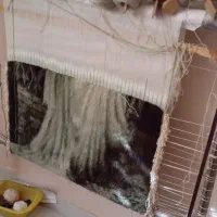 تابلو فرش ماه ودختر نخ ونقشه تبریز بیرقی|تابلو فرش|مشهد, صیاد شیرازی|دیوار