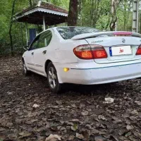 ماکسیما ۸۱ سفید