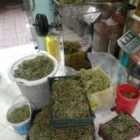 آبگیری گوجه لیمو انگور  و دستگاهای اصفهان|خوردنی و آشامیدنی|مشهد, توس (بلوار توس)|دیوار