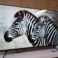 ایکس ویژن ۴۳اینچ هوشمند|تلویزیون و پروژکتور|تبریز, |دیوار