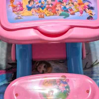 میز تحریر دانا در حد نو|میز تحریر و کامپیوتر|اصفهان, سپاهان‌شهر|دیوار