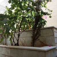 ویلایی ۱۸۰ متر دو طبقه ونیم باجک ۳ معاوضه باعطاران